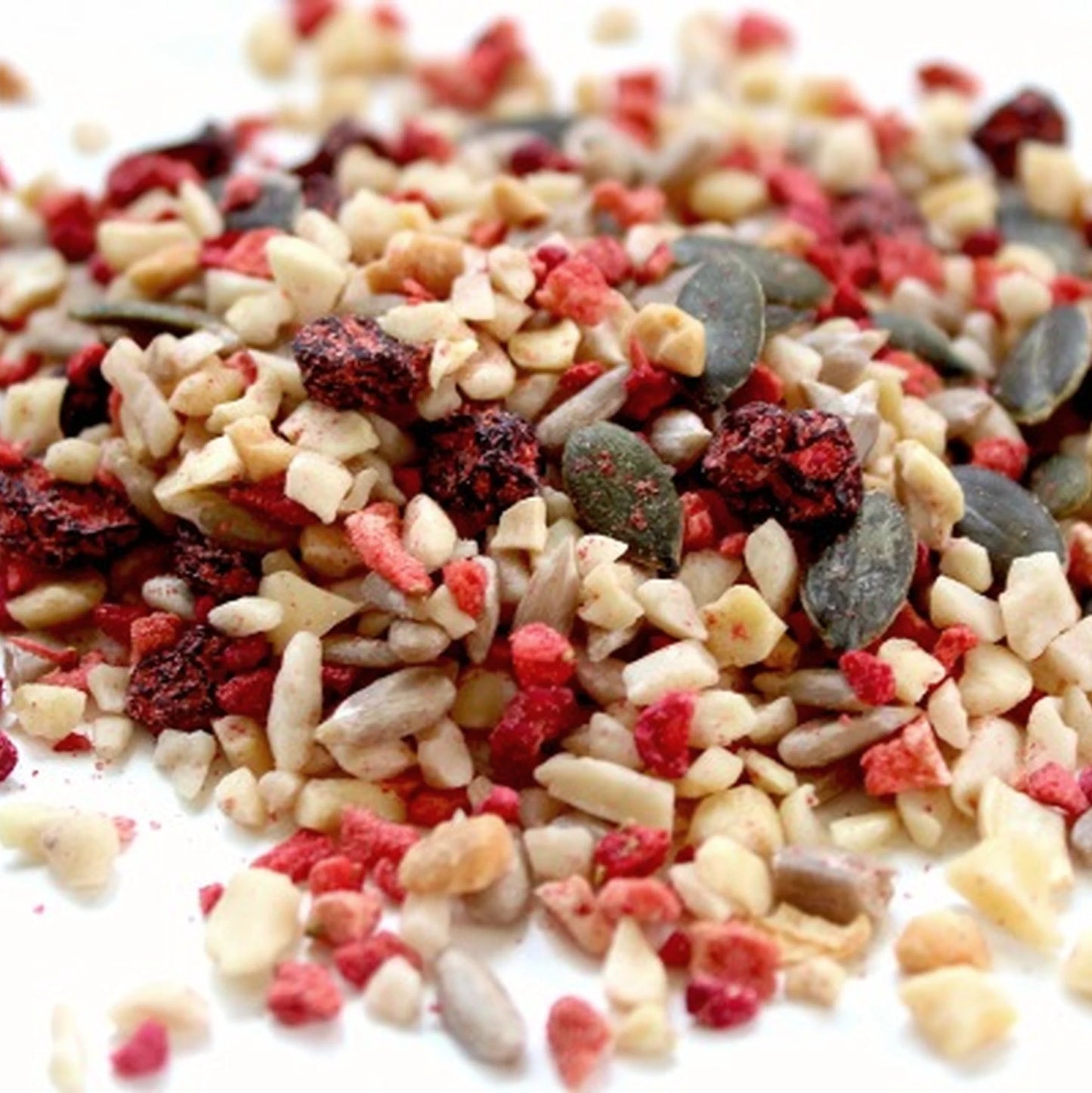 ProMix Refill: Nuts, Seeds & Fruits